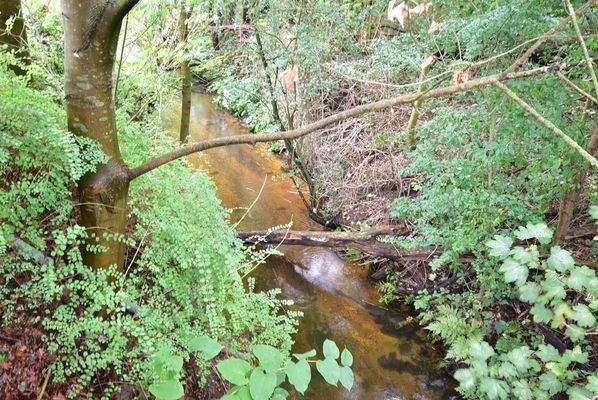 Chalet Kaufen Bad Hoophuizen Hulshorst EuroParcs Veluwe  11