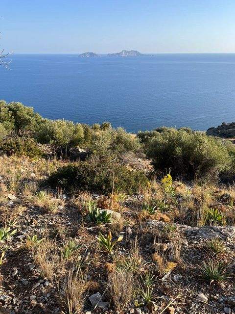 Kreta Bauernhöfe, Landwirtschaft, Kreta Forstwirtschaft