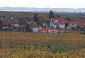 Grünstadt Sausenheim 