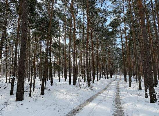 Blick auf den Zufahrtsweg