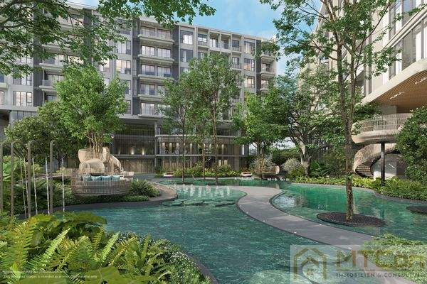 Pool Outside Mangroves