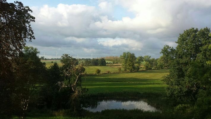 Teich/Ausblick Nord
