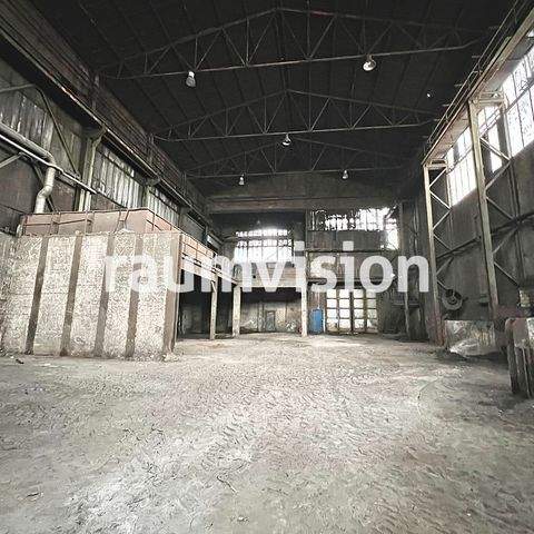 Solingen Halle, Solingen Hallenfläche