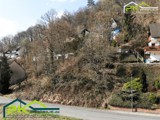 Ansicht Grundstück_vorne_I