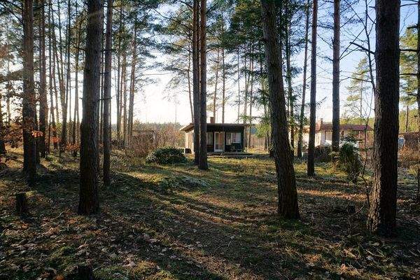 Blick zum Bungalow (1).JPG