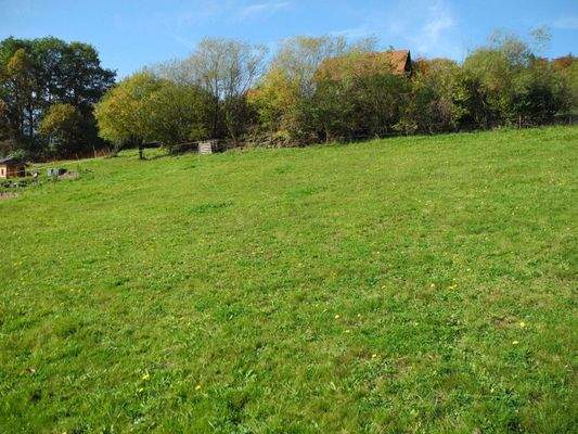 Hier könnte Dein Traum vom Haus stehen