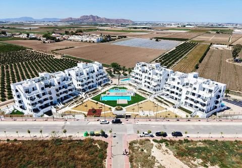 Murcia Wohnungen, Murcia Wohnung kaufen