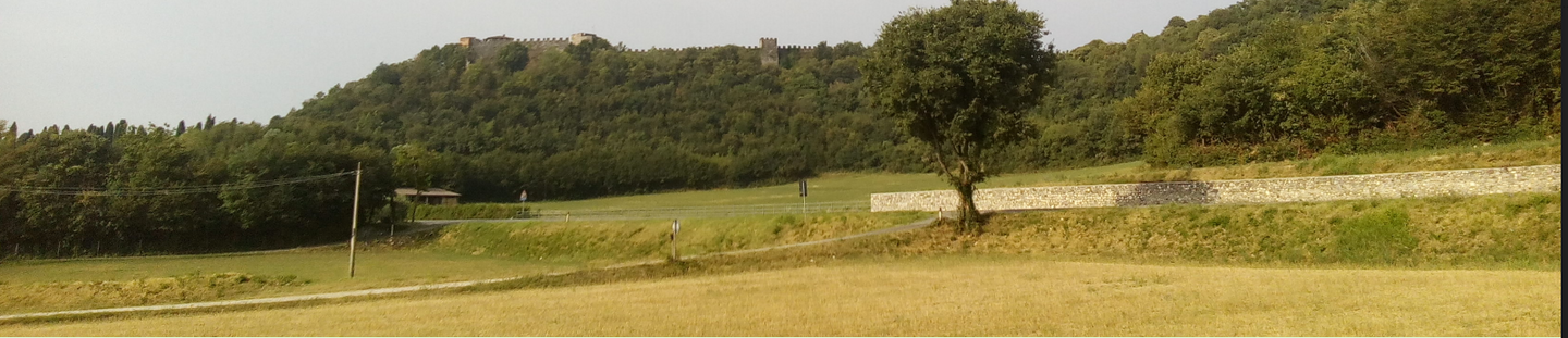 Schermata 2021-06-16 alle 10.32.46.png