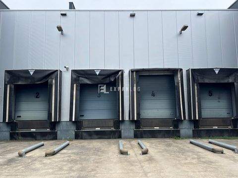 Langenfeld Halle, Langenfeld Hallenfläche