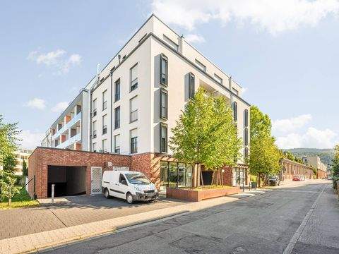 Heidelberg Wohnungen, Heidelberg Wohnung mieten