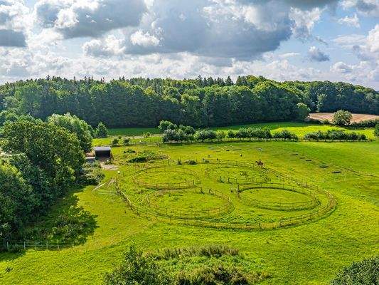 Honeycomb mit 4 Roundpens.jpg