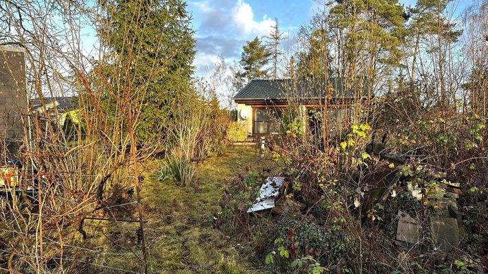 Garten Rückseite.jpg