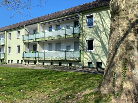 Recklinghausen Wohnungen, Recklinghausen Wohnung mieten
