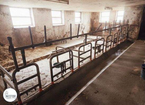 Haus - NESTOR Immobilien