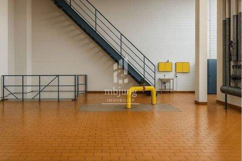 Homburg Halle, Homburg Hallenfläche