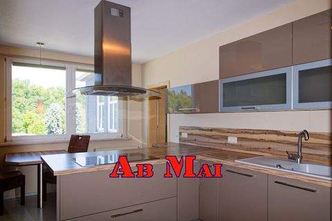 Greiz Wohnungen, Greiz Wohnung mieten