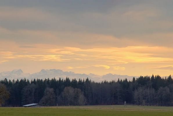 Blick vom Balkon.jpg