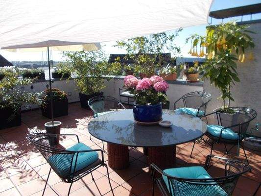 obere Terrasse zu Beginn