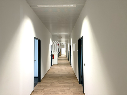 JLL_Innenansicht Büro