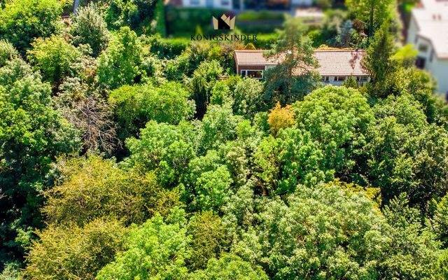 Archivaufnahme - Grundstück inzwischen teilw. gerodet