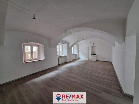 Friesach Ladenlokale, Ladenflächen 