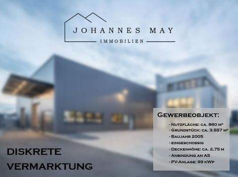 Alsfeld Halle, Alsfeld Hallenfläche