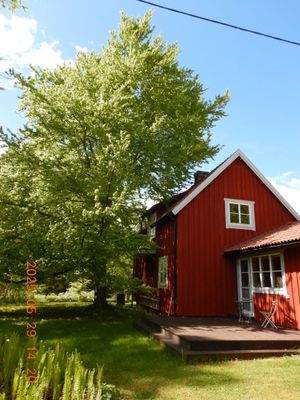Wohnhaus mit Buche im Süden 