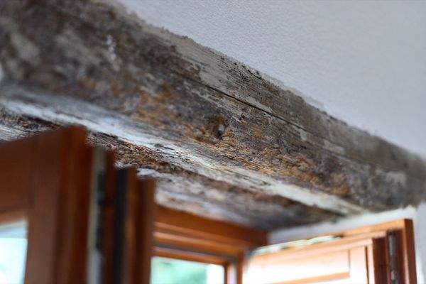 Campo di Brenzone - Rustico - ID1_4403 (WEB).jpg