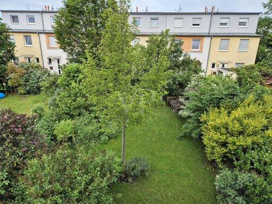 Garteansicht im Sommer