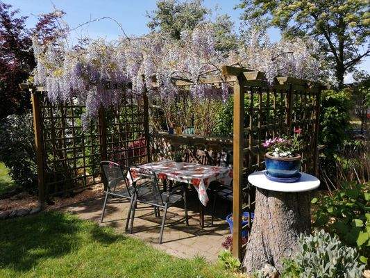 Sitzecke mit Glyzinie