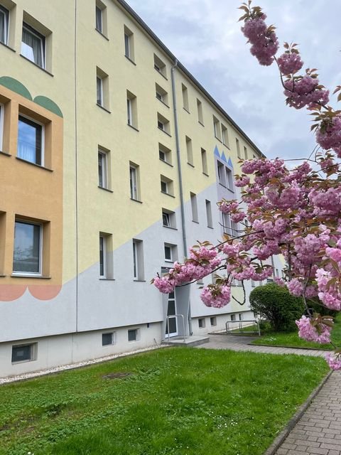 Weißenfels Wohnungen, Weißenfels Wohnung mieten