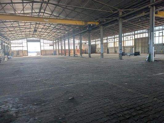 shared image (9).jpeg