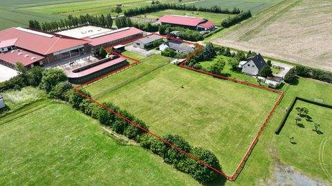 Königslutter Häuser, Königslutter Haus kaufen