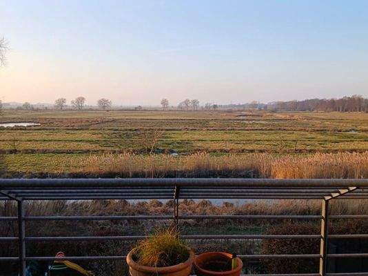 Freier Blick ins Hollerland