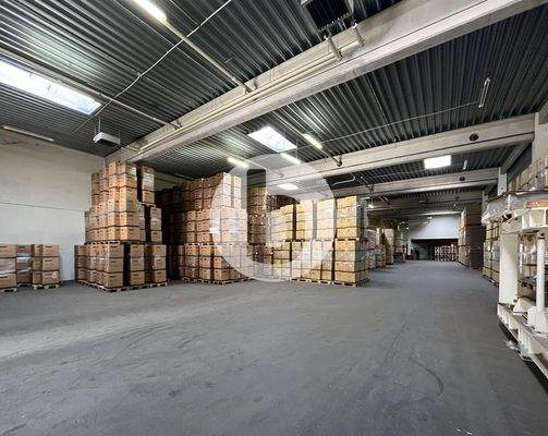 Beispielansicht Halle