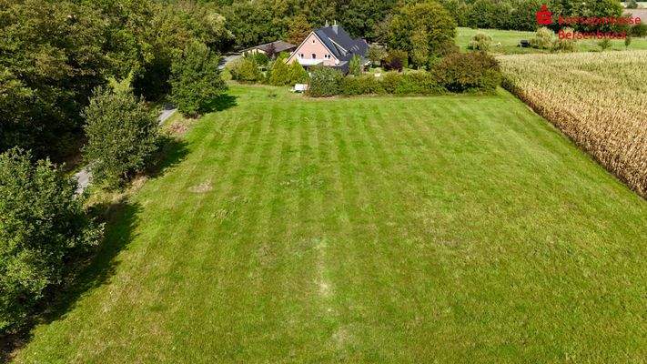 Wiese, Gebäude und Weiden