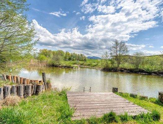 HP3-Einfamilienhaus-Seekirchen-Garten