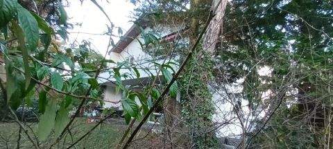 Köln Grundstücke, Köln Grundstück kaufen