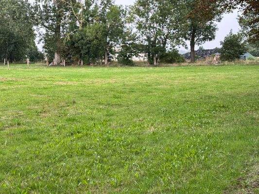 Wiese beider Häuser