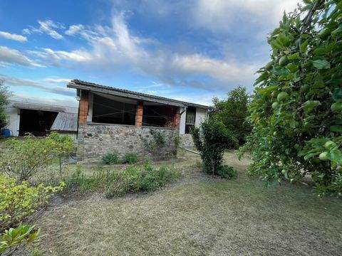 Brandenburg an der Havel Häuser, Brandenburg an der Havel Haus kaufen