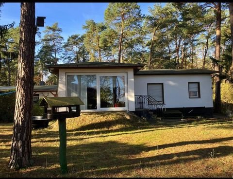 Bad Saarow Häuser, Bad Saarow Haus kaufen