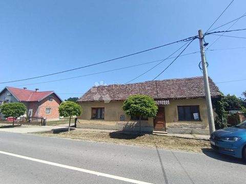 Draz Häuser, Draz Haus kaufen