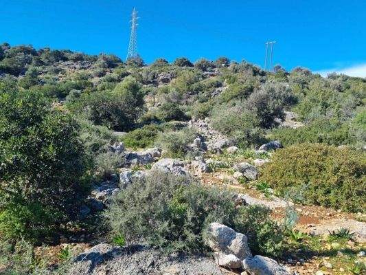 Kreta, Ammoudara bei Agios Nikolaos : Baugrund mit Meerblick in Stadt- und Strandnähe zu verkaufen