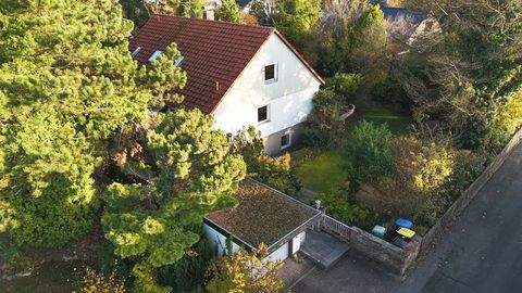 Neunkirchen a. Brand Häuser, Neunkirchen a. Brand Haus kaufen