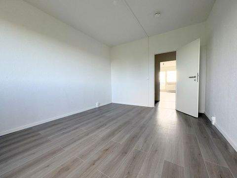 Görlitz Wohnungen, Görlitz Wohnung mieten