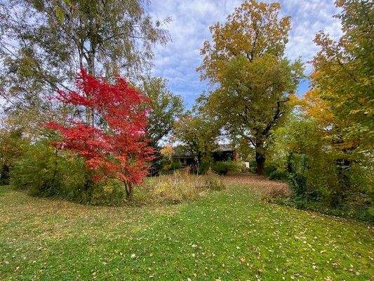 Grundstück - Blick Richtung Osten