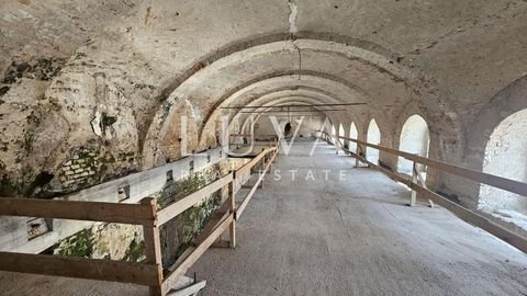 Donji grad Halle, Donji grad Hallenfläche