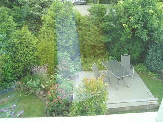 Blick in den Garten