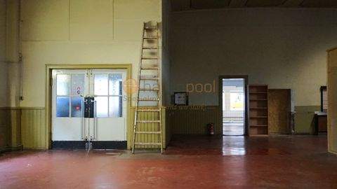 Hannover Halle, Hannover Hallenfläche