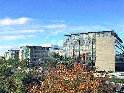 Düsseldorf Büros, Büroräume, Büroflächen 